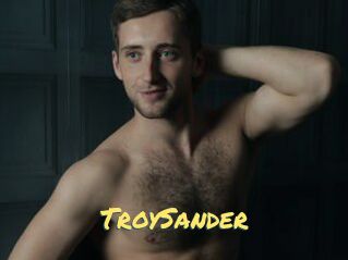 TroySander