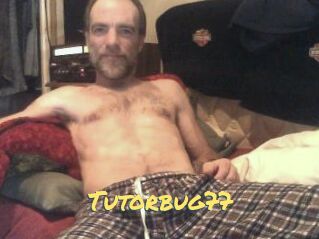 Tutorbug77