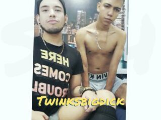 Twinksbigdick