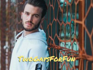 TwoGaysForFun
