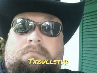 Txbullstud