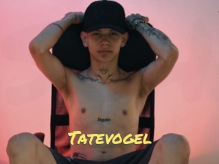 Tatevogel