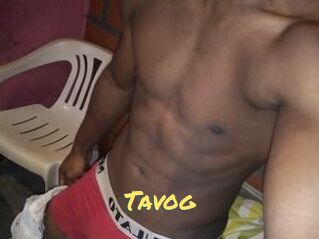 Tavog