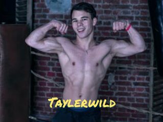 Taylerwild