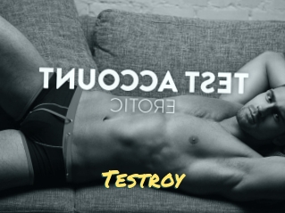 Testroy