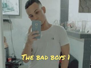 The_bad_boys_1