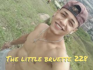 The_little_bruette_228