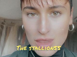 The_stallion55