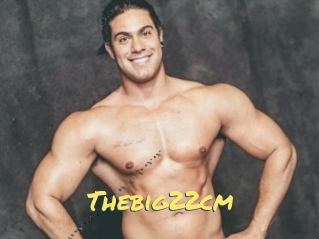 Thebig22cm