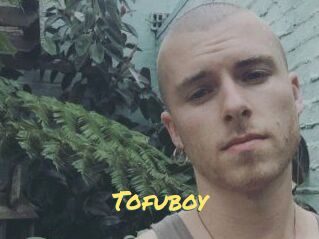 Tofu_boy