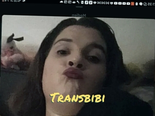 Transbibi
