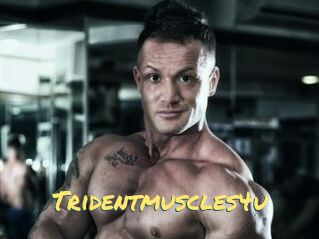 Tridentmuscles4u