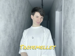 Troyemellet