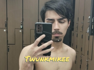 Twunkmikee
