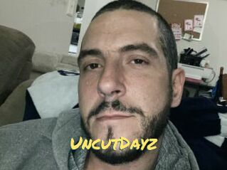 UncutDayz