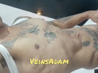 VeinsAdam