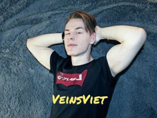 VeinsViet
