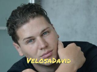 VelosaDavid