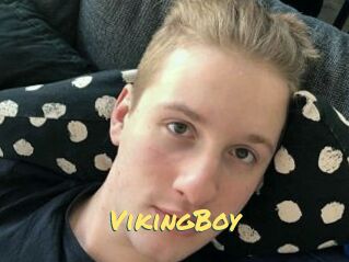 VikingBoy