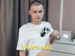 Vaneslinel