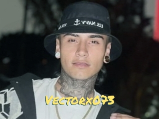 Vectorx073
