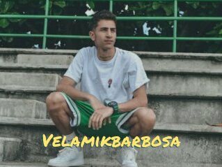 Velamikbarbosa