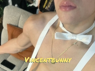 Vincentbunny