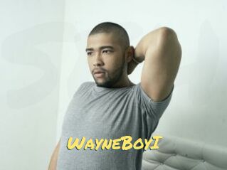 WayneBoyI