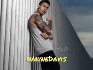 WayneDavis