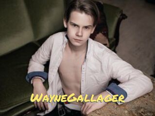 WayneGallager
