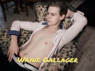Wayne_Gallager