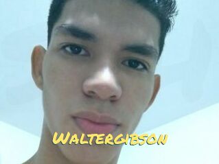 Waltergibson