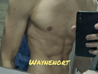 Waynenort