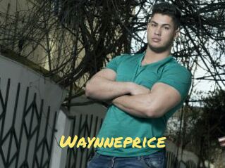 Waynneprice