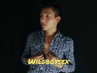 Wildboysex