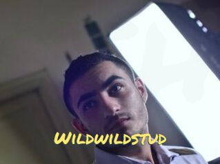 Wildwildstud