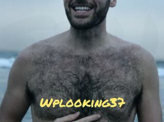 Wplooking37