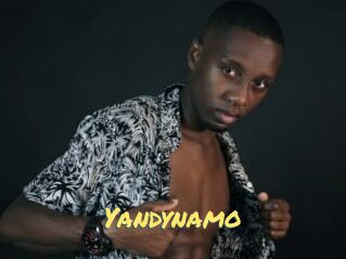 Yandynamo