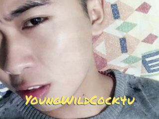 YoungWildCock4u