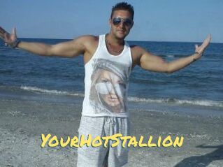 YourHotStallion
