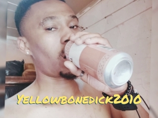 Yellowbonedick2010