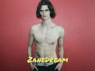 ZaneDream