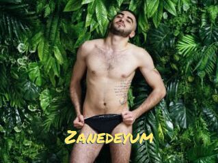 Zanedeyum