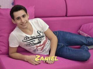 Zaniel