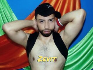 Zevit